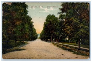 1911 Clinton Street View Dirt Road Trees Delhi New York NY Antique Postcard 