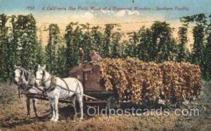 Hop Field, Southern Pacific Farming, Farm, Farmer  Unused 