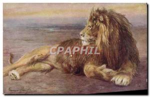 Old Postcard Lion