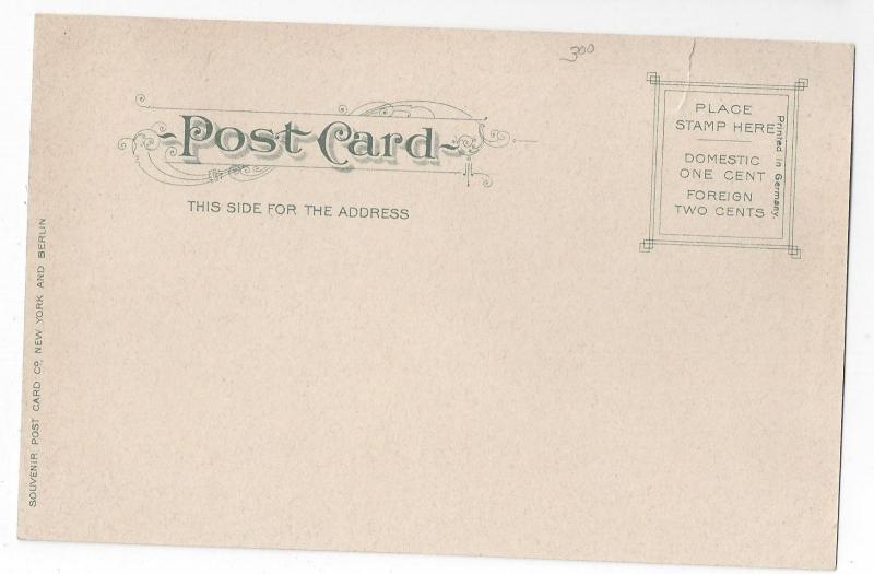 Lancaster PA Long Park View Souvenir Post Card Co Vintage UND Postcard