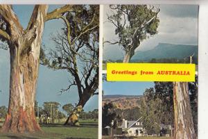 BF28108 australian scenes multi views    front/back image