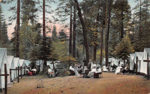 Yosemite California Camp Curry Sugar Pine Avenue Vintage Postcard AA82929