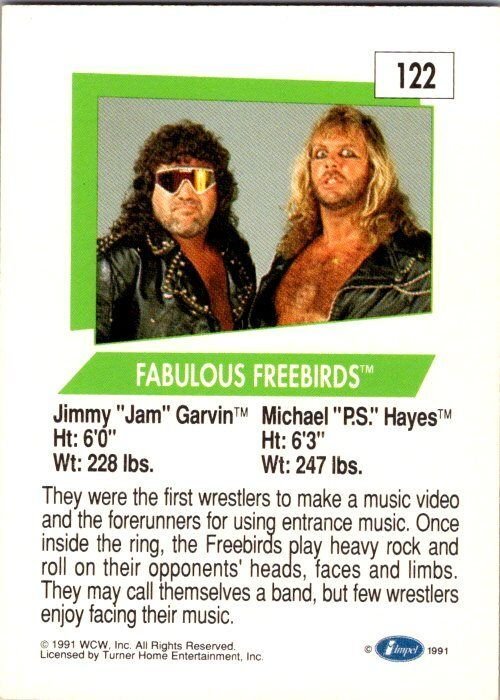 1991 WCW Wrestling Card Fabulous Freebirds sk21184