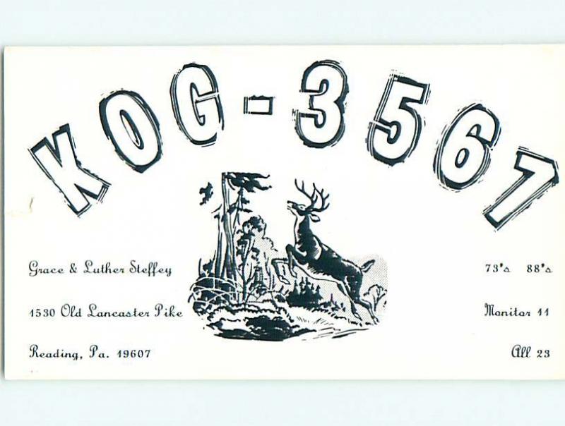 Deer - QSL CB HAM RADIO CARD Reading Pennsylvania PA t9154