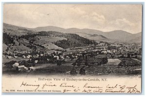 1907 Bird's Eye View Of Roxbury In The Catskill New York NY Antique Postcard