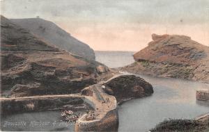 uk21406 boscastle harbour and profile rock uk