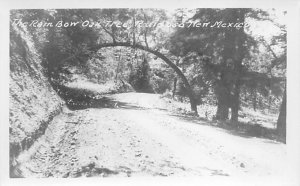 Rainbow Oak Tree real photo - Ruidoso, New Mexico NM