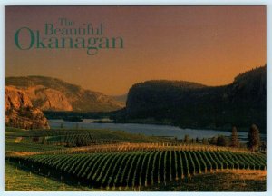 OKANAGAN FALLS, Canada~ Vaseux Lake BLUE MOUNTAIN VINEYARD~ 4.75x6.75 Postcard