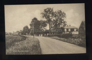 TQ3237 - Lincs - Farm Houses along High Road, in Wrangle Village - postcard