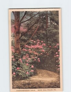 Postcard Rhododendron Walk Buck Hill Falls Pennsylvania USA