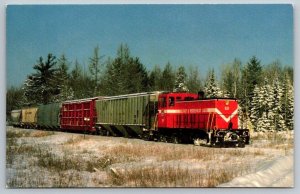 Belfast & Moosehead Lake Railway RR Railroad Train Locomotive  Postcard