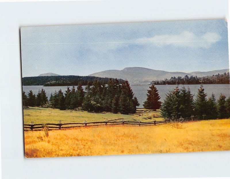 Postcard Mt. Cadillac, Mt. Desert Island, Maine