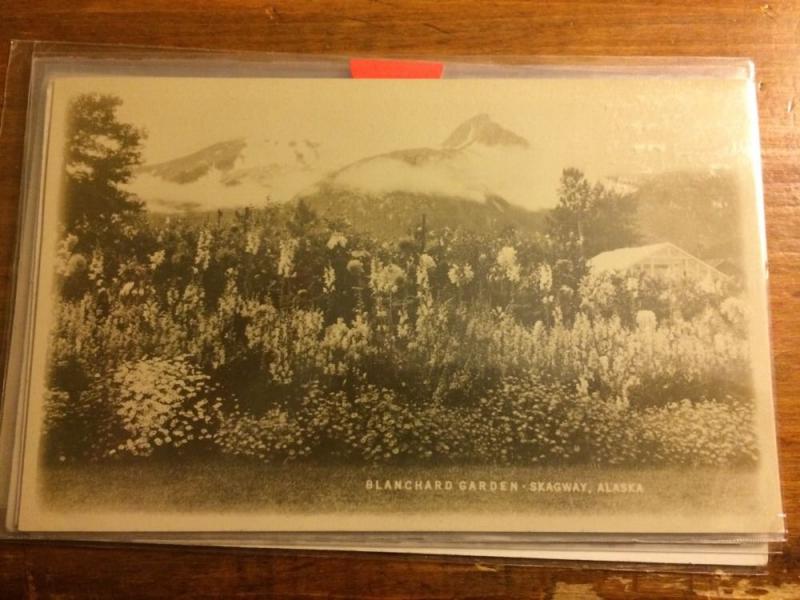 Alaska AK Real Photo RPPC Postcard c1930 SKAGWAY Blanchard Garden Flowers Mts 