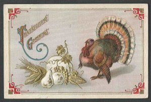 POST CARD THANKSGIVING GREETING W/TURKEY & FRUIT EMBOSSED POSTED