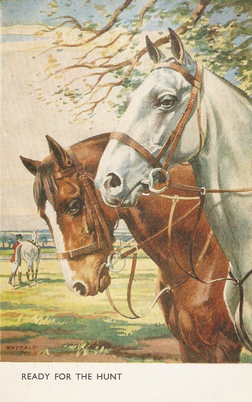 Whydale. Horses. Ready for the Hunt Nice vintageEnglish Postcard