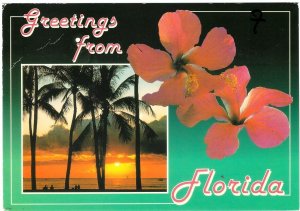 Greetings From Florida, Sunset And Hibiscus Flower, 1991 Chrome Postcard