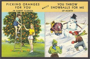 Pick Oranges in Florida vs Throw Snowballs Winter Linen Comic Postcard 1940s #2