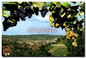 Modern Postcard Stuttgart Die Stadt zwischen wald und Reben