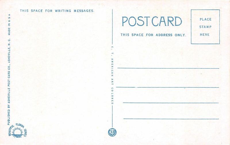 F29/ St Petersburg Florida Postcard c1915 Gandy Bridge Night View 5