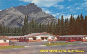 Banff, Alberta Canada   SPRUCE GROVE MOTEL  Roadside  ca1960's  Vintage Postcard