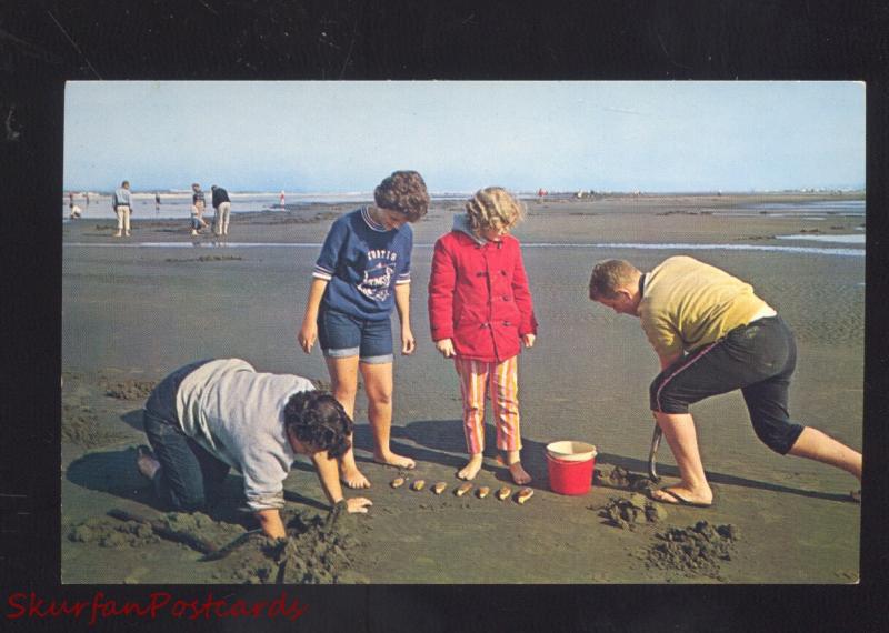 RAZOR CLAM DIGGERS WASHINGTON BEACH DIGGING VINTAGE POSTCARD