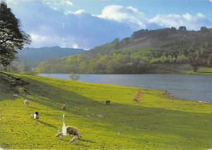 uk35457 rydal water lake district  uk lot uk 1