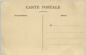 PC CPA AVIATION, UN BEAU VOL DE MARTINET, Vintage Postcard (b24568)