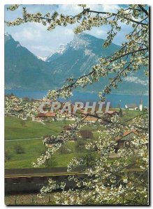 Modern Postcard Spiez am Thunersee Zum günstigen Tageskartenpreis eine Rundf...