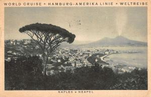 Naples Italy Birdseye View World Cruise Hamburg Amerika Antique Postcard K16830