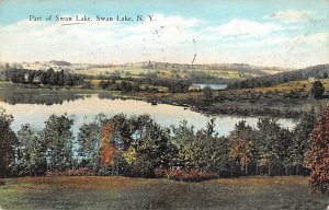 Part of Swan Lake Swan Lake, New York NY