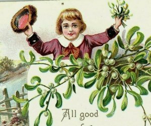 1907 Christmas 102 Tuck Postcard Series Raphael Embossed Holly Fence Boy 
