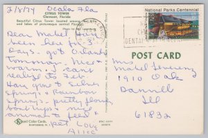 State View~Citrus Tower & Oranges @ Clermont Florida~Vintage Postcard