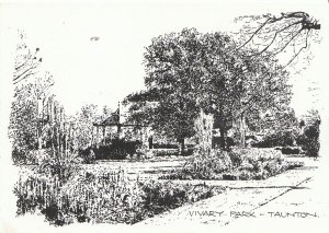 Somerset Postcard - Vivary Park - Taunton   AB1097