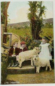 Little Companions Sweet Children with Cute Sheep England Postcard I3