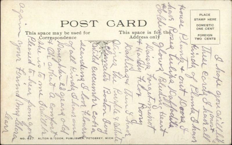 Petoskey MI GR&I Suburban Station & Parks c1910 Postcard