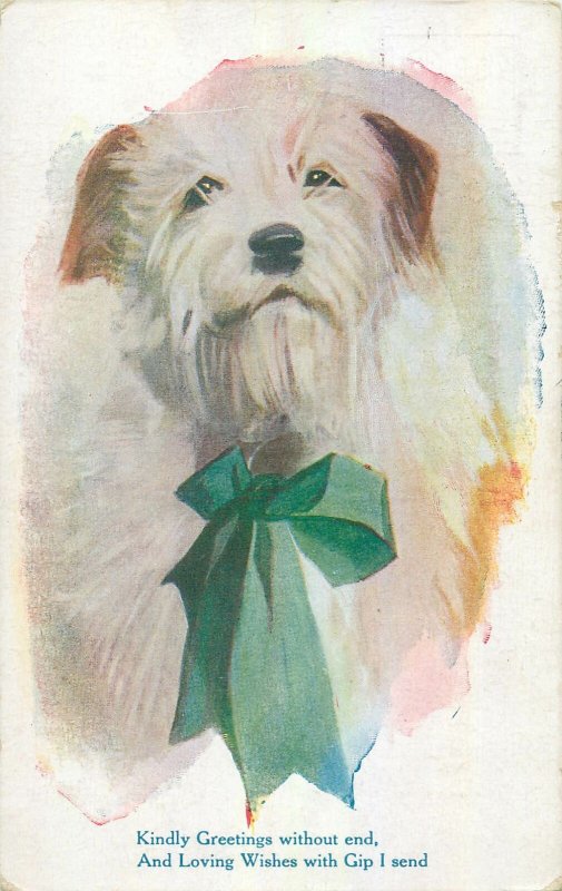 Postcard Comic drawn animals dog kindly greetings