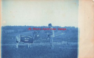 MI, Albion, Michigan, RPPC, Donkey with Albion Lodge No 376 Blanket, Cyanotype