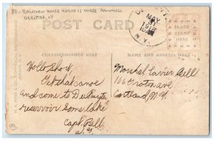 1918 Baldwin House Harness Horse Hammock Deruyter New York NY RPPC Postcard