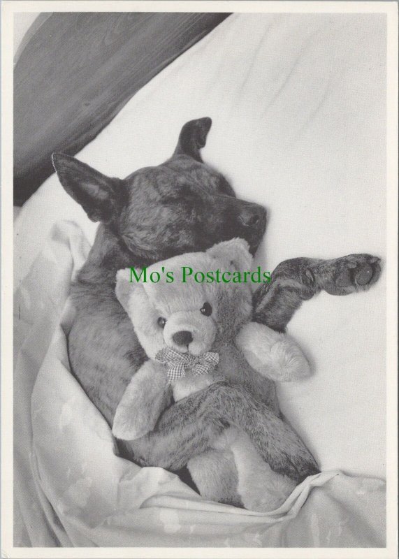 Toys Postcard - Dog Cuddling a Teddy Bear, Friends, Wilberto Van... Ref.RR16011