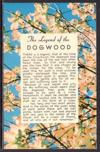 The Legend of the Dogwood BIN