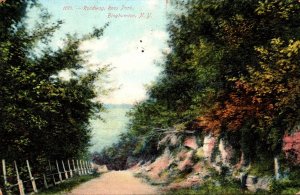 New York Binghamton Roadway In Ross Park 1909