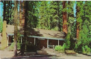 Big Tree Lodge Mariposa Grove of Big Trees Yosemite National Park California