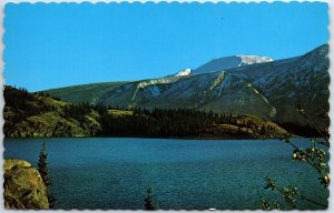 VINTAGE POSTCARD KLUANE LAKE LARGEST LAKE IN THE YUKON TERRITORY