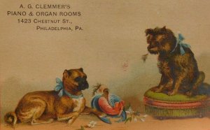 Victorian Trade Card A.G Clemmer's Piano & Organ Rooms Adorable Dogs Feather F25