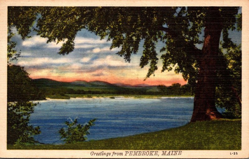 Maine Greetings From Pembroke 1948