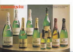 Spain Postcard - Cavas Codorniu - Wine Bottles    Y127