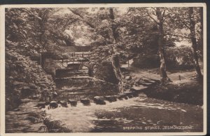 Northumberland Postcard - Stepping Stones, Jesmond Dene    RS7456