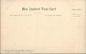 Auckland New Zealand Albert Park c1910 Postcard