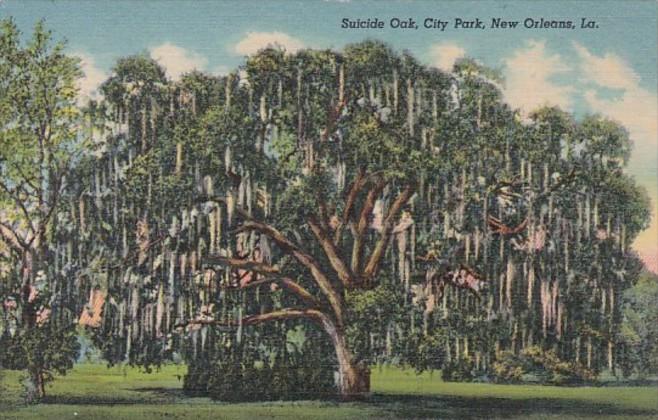 Louisiana New Orleans City Park Suicide Oak Curteich