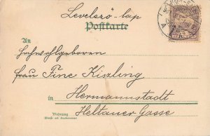 New Year 1900 fantasy chromo postcard angel pulling bell